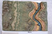 藏品(水平地層模型)的圖片